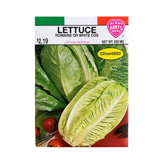 Lettuce Romaine