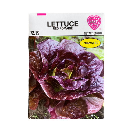 Lettuce Red Romaine