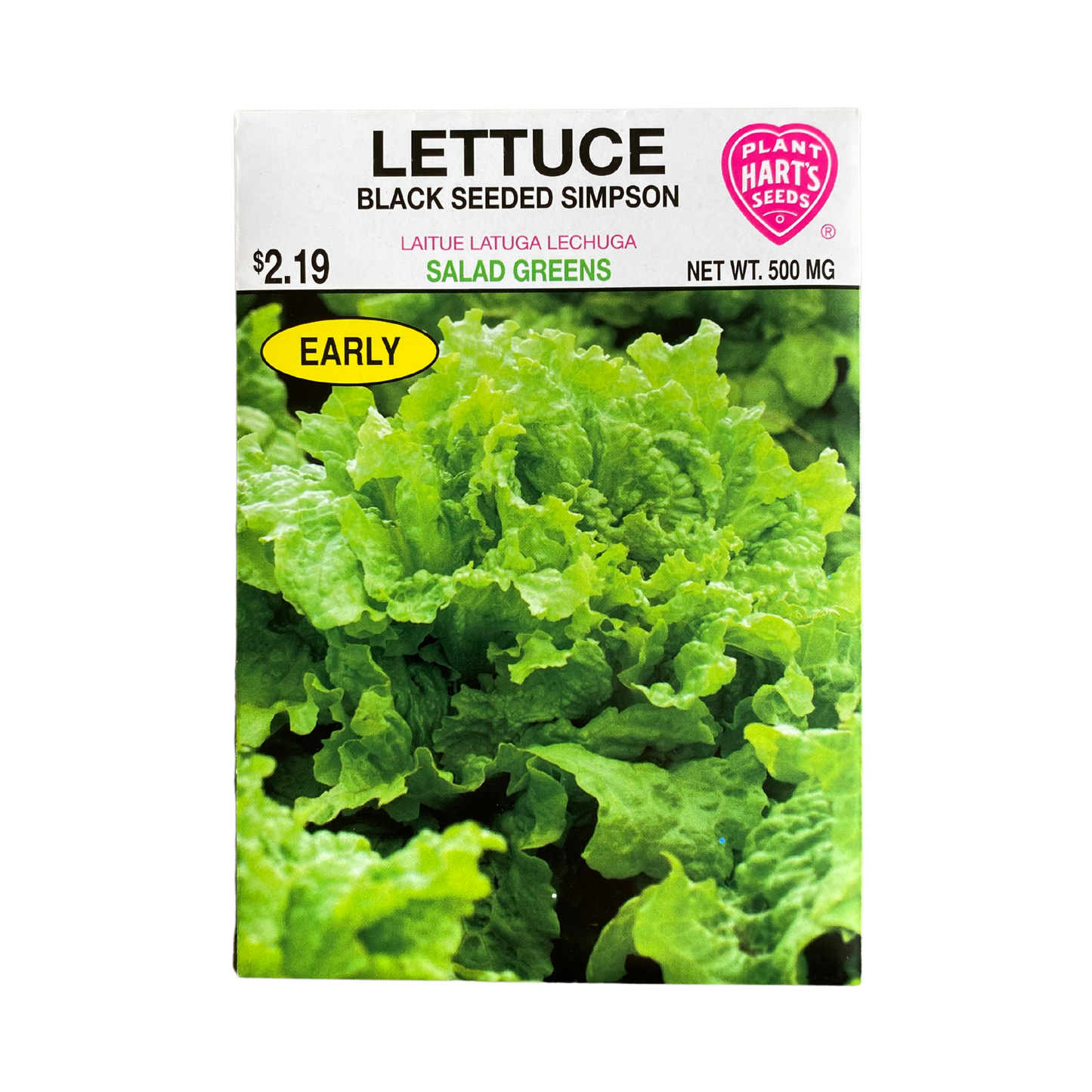 Lettuce Black Seeded Simpson