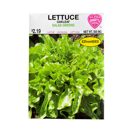 Lettuce Oakleaf