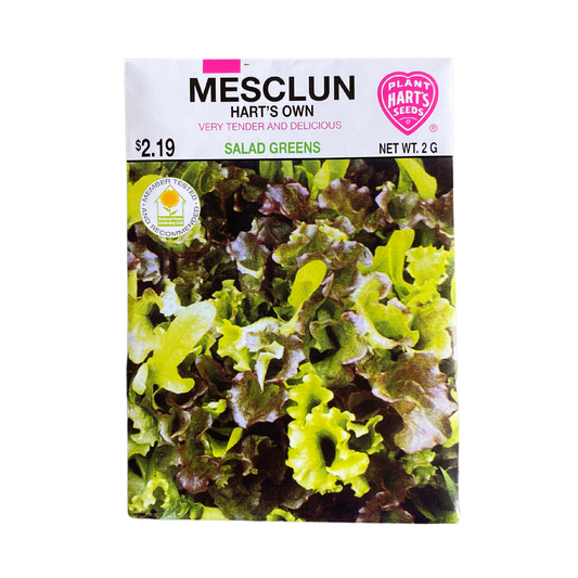 Mesclun Salad Mix