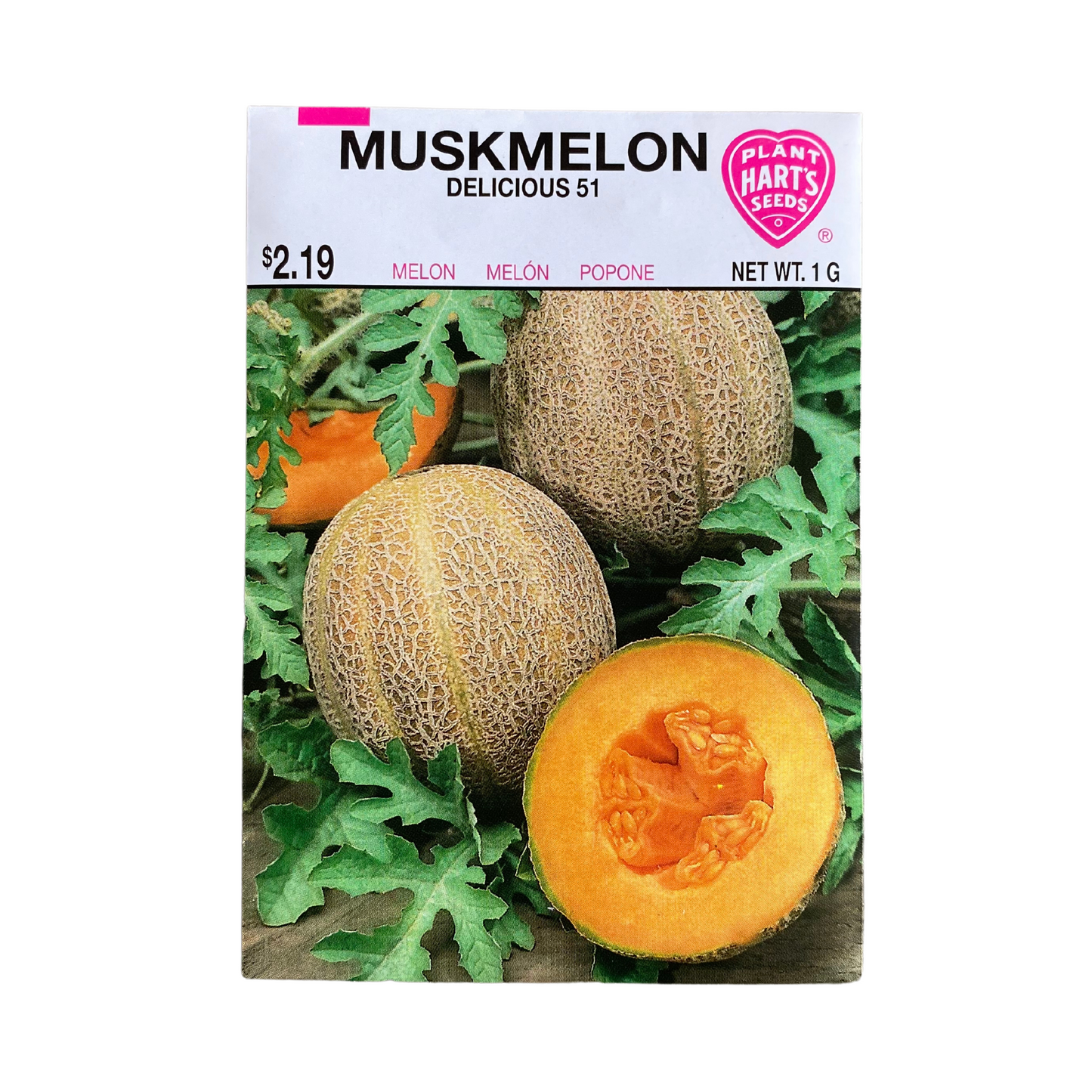 Melon Muskmelon Delicious
