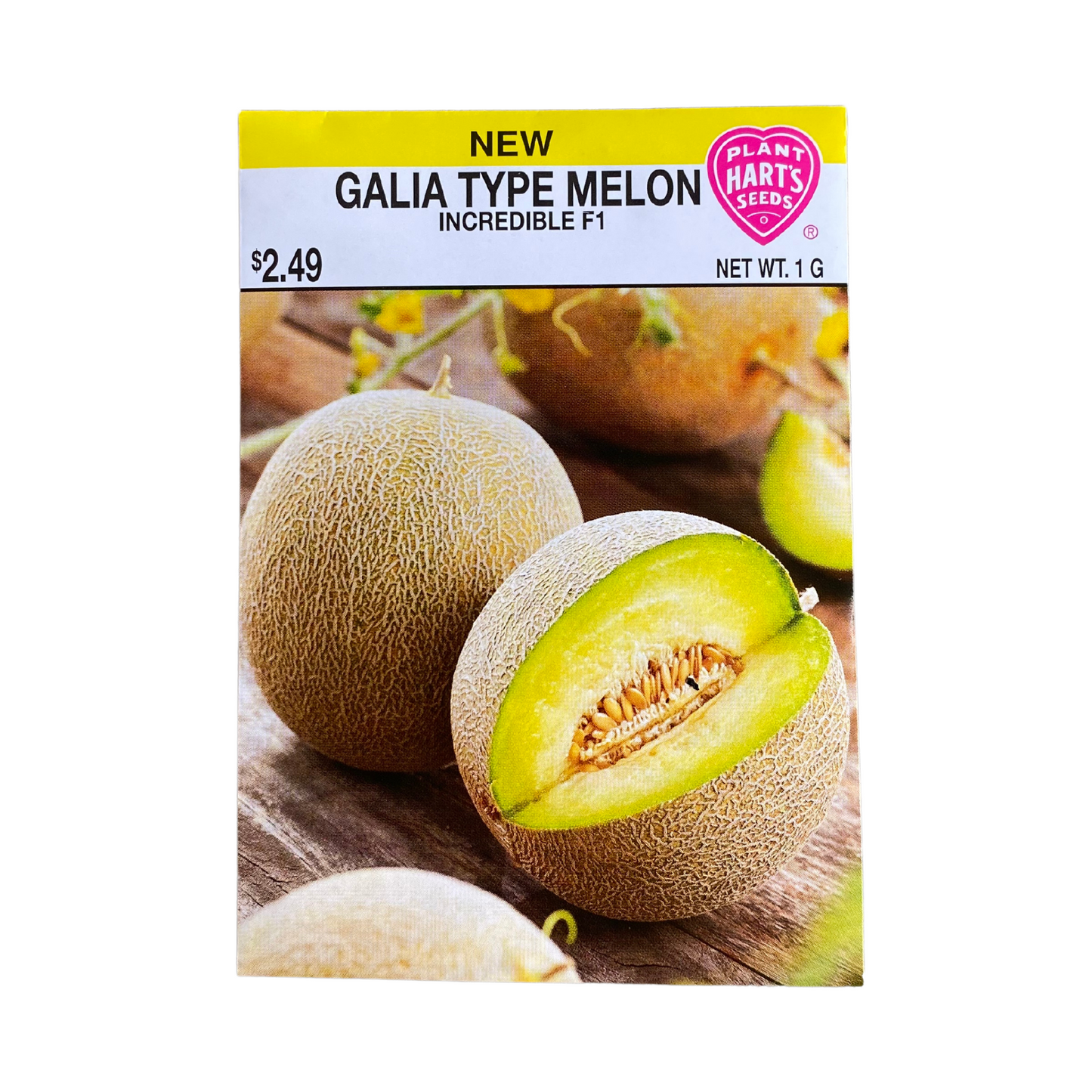 Melon Galia Incredible