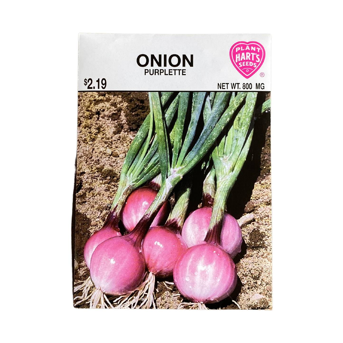 Onion Purplette
