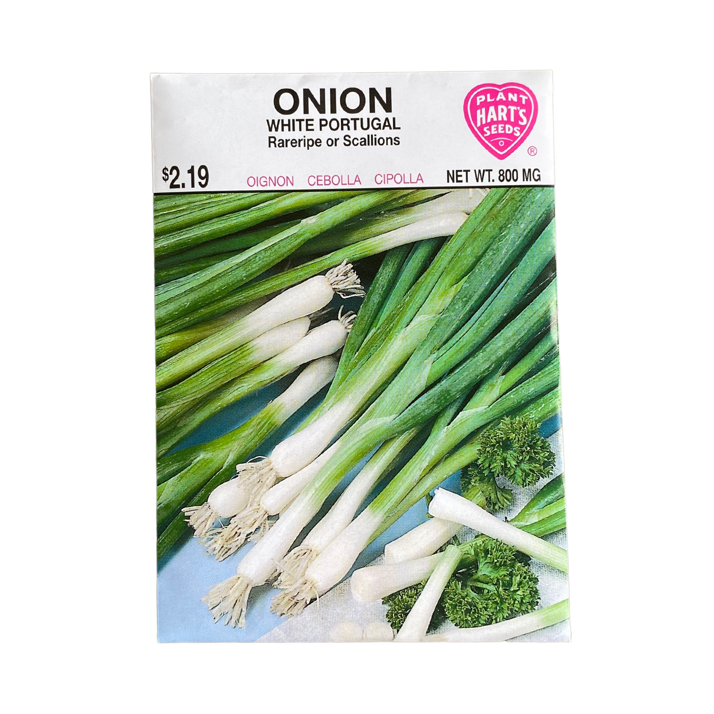 Onion White Portugal