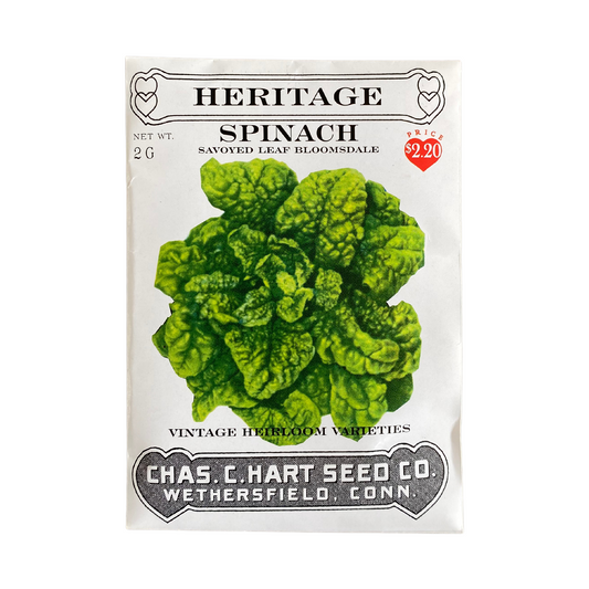 Heritage Spinach Bloomsdale Savoy
