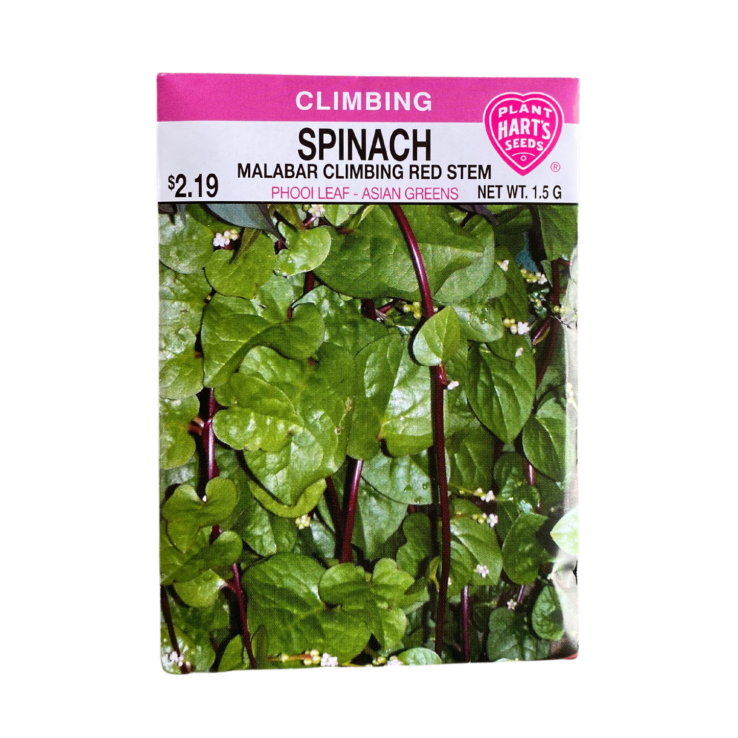 Spinach Malabar Climbing