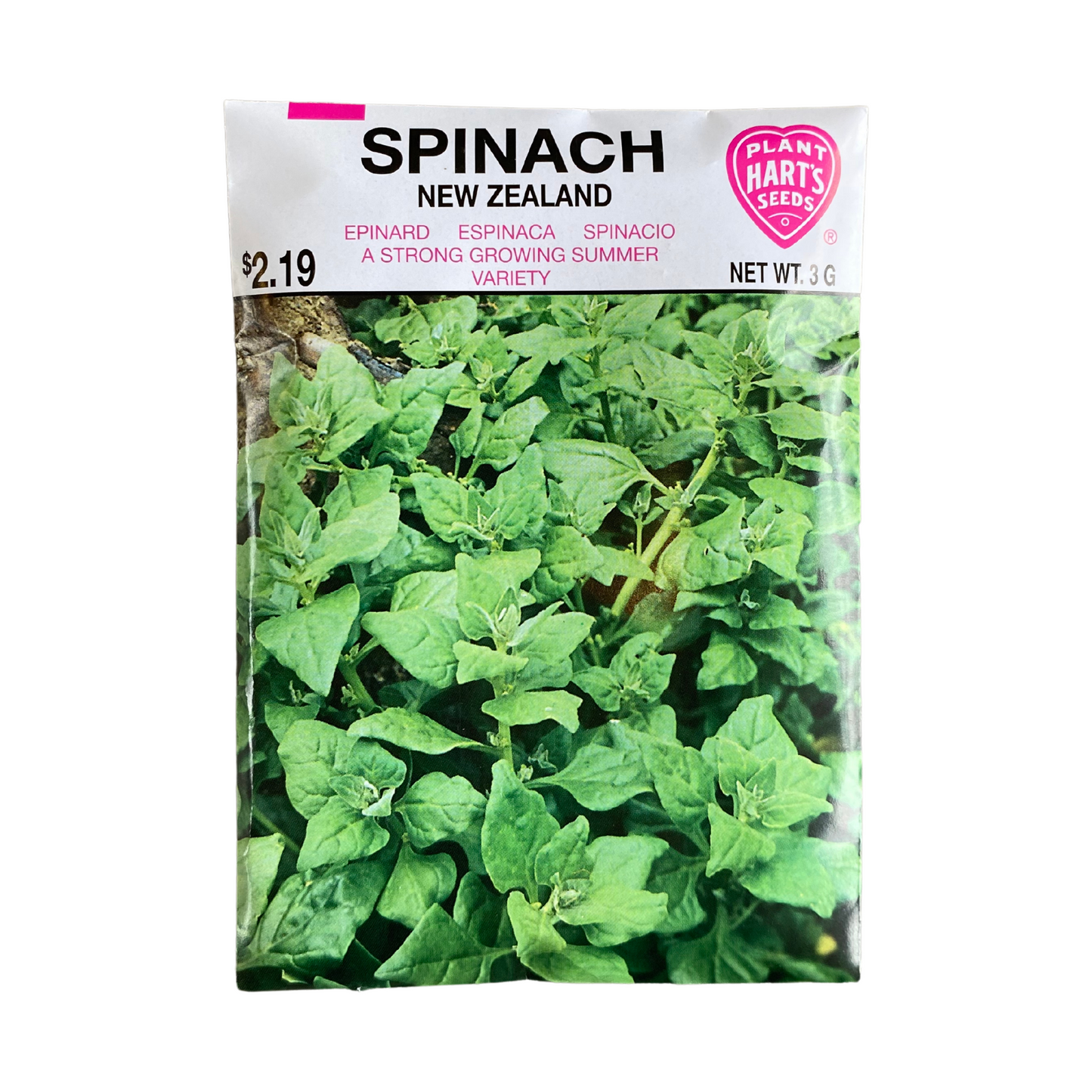 Spinach New Zealand