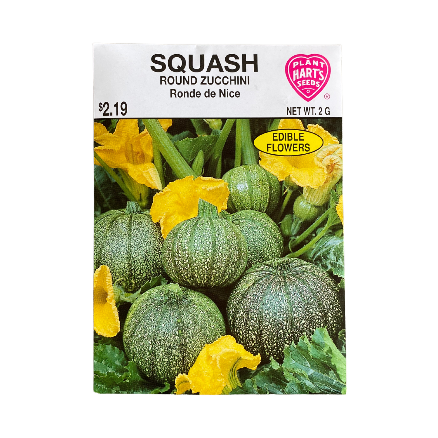 Squash Round Zucchini