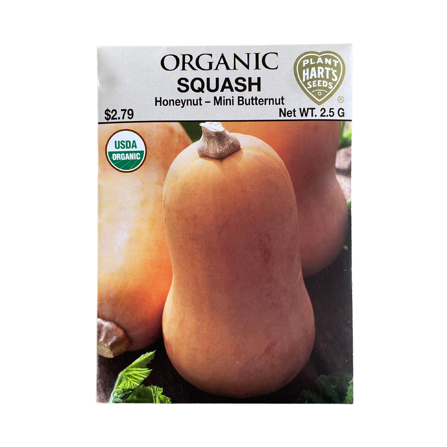 Organic Squash Honeynut (Baby Butternut)
