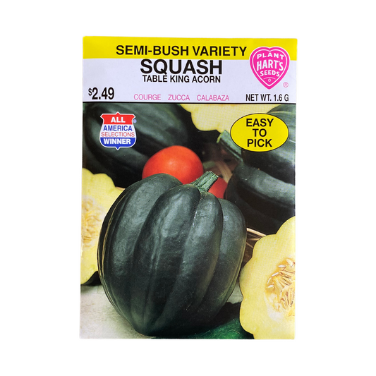 Squash Table King (Acorn)