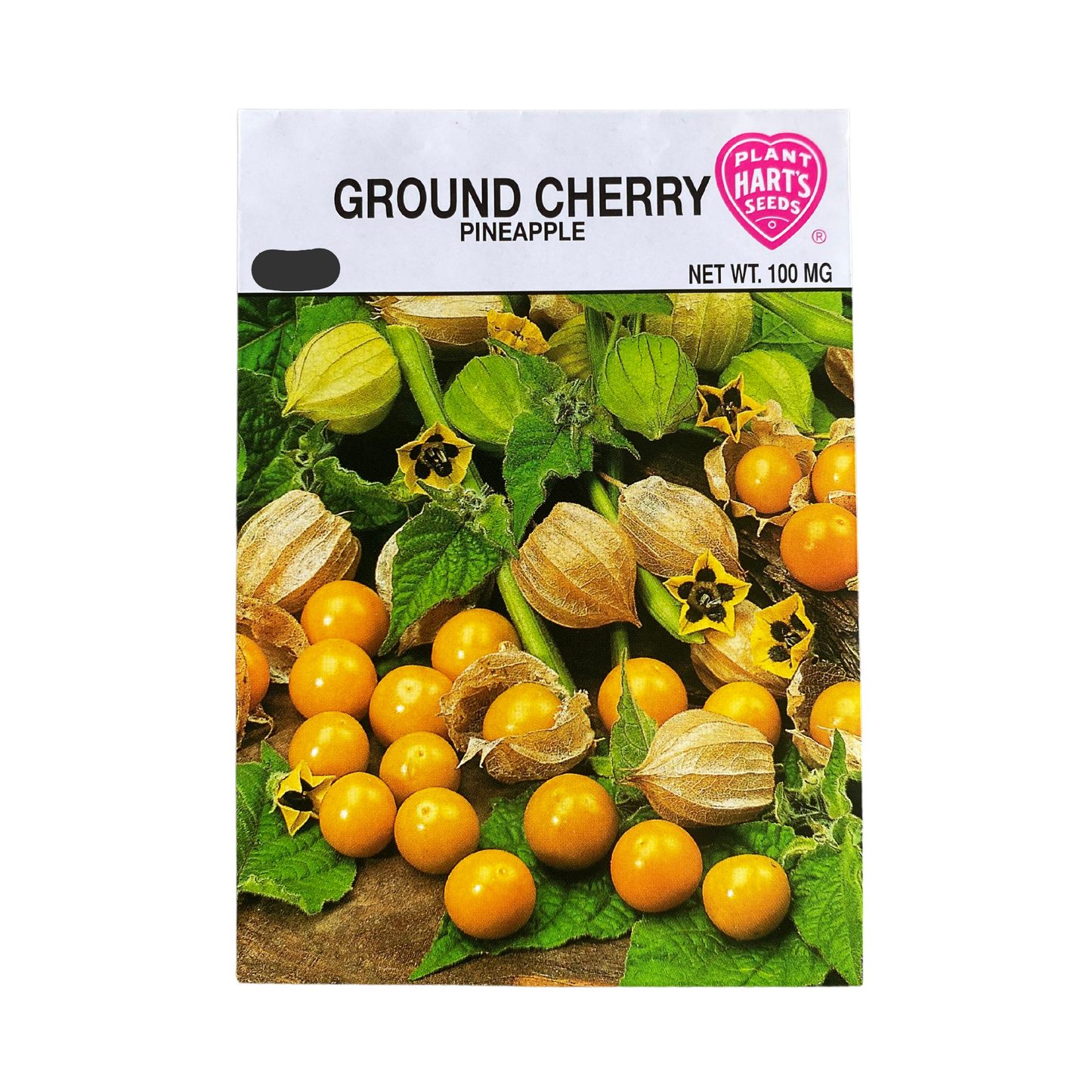 Ground Cherry Pineapple
