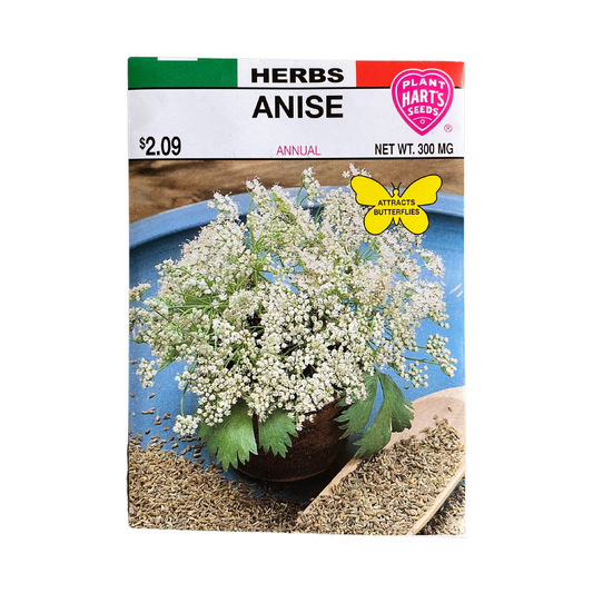 Herb Anise