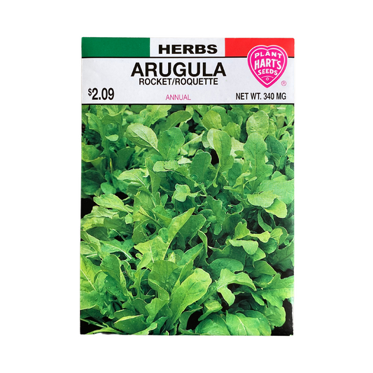 Herb Arugula
