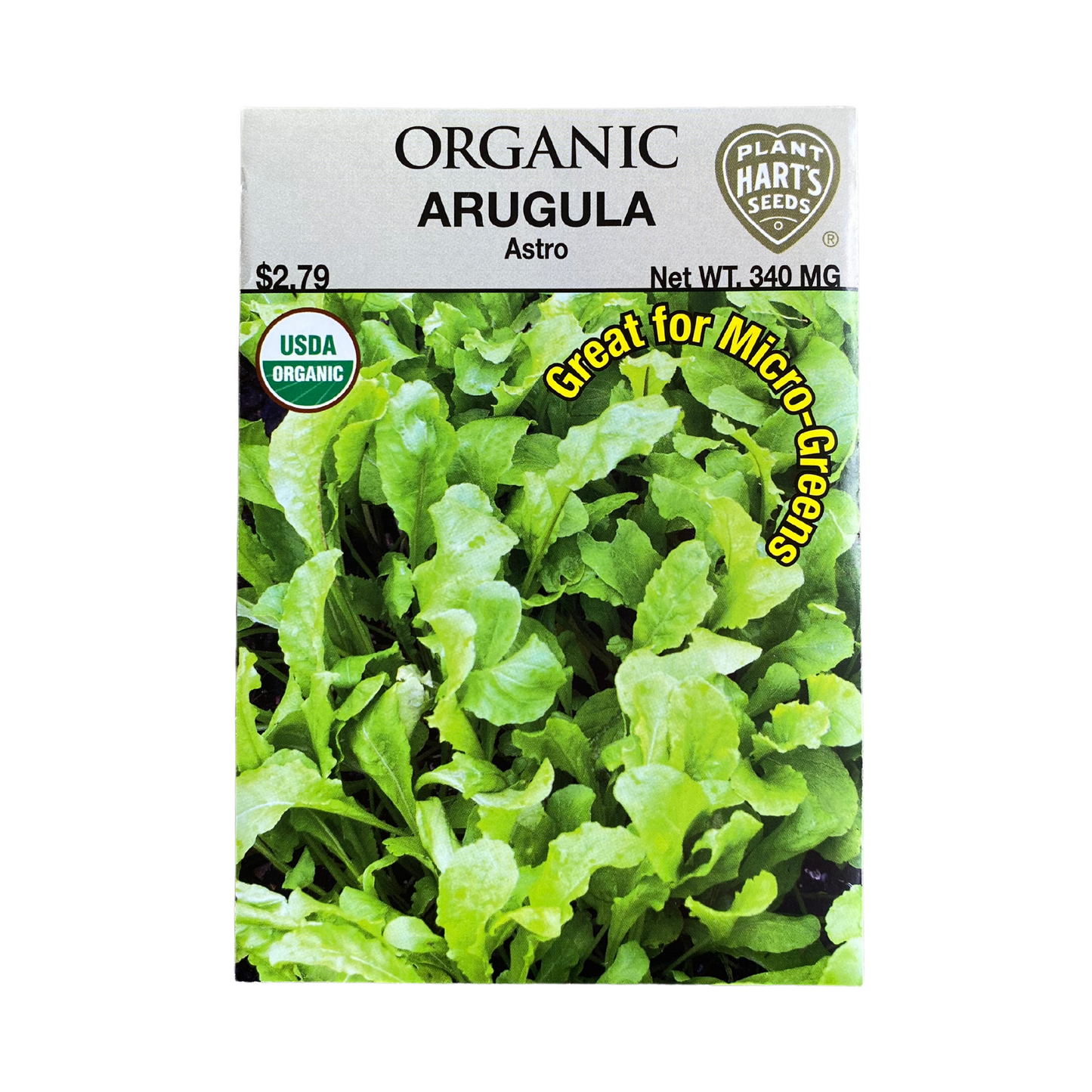 Organic Herb Arugula Astro