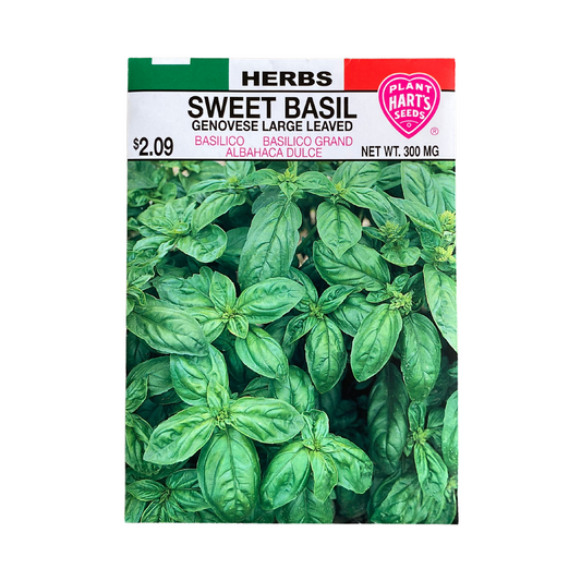 Herb Sweet Basil