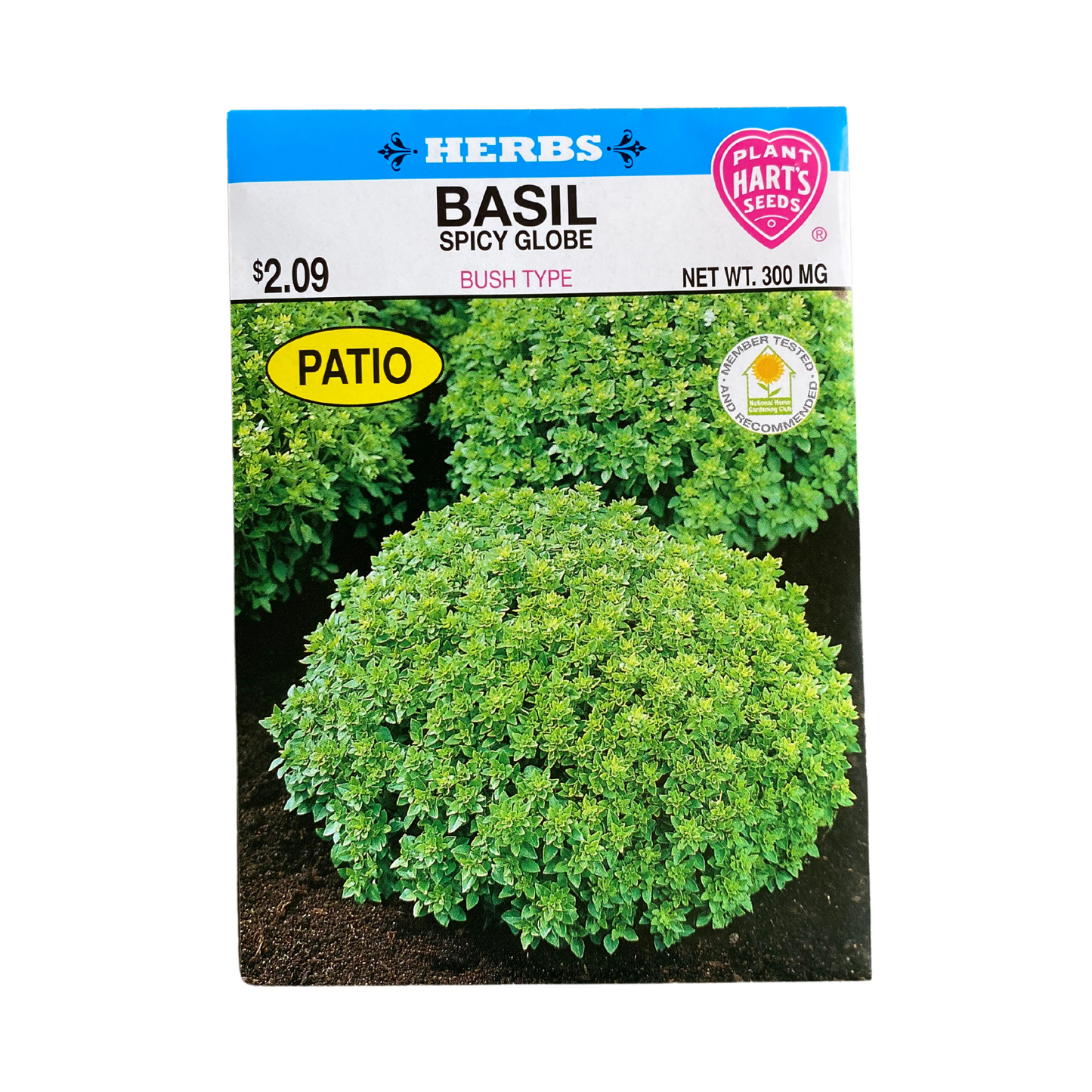 Herb Basil Spicy Globe