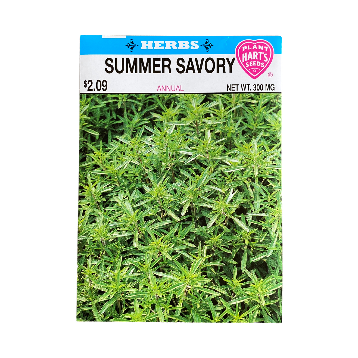 Herb Summer Savory