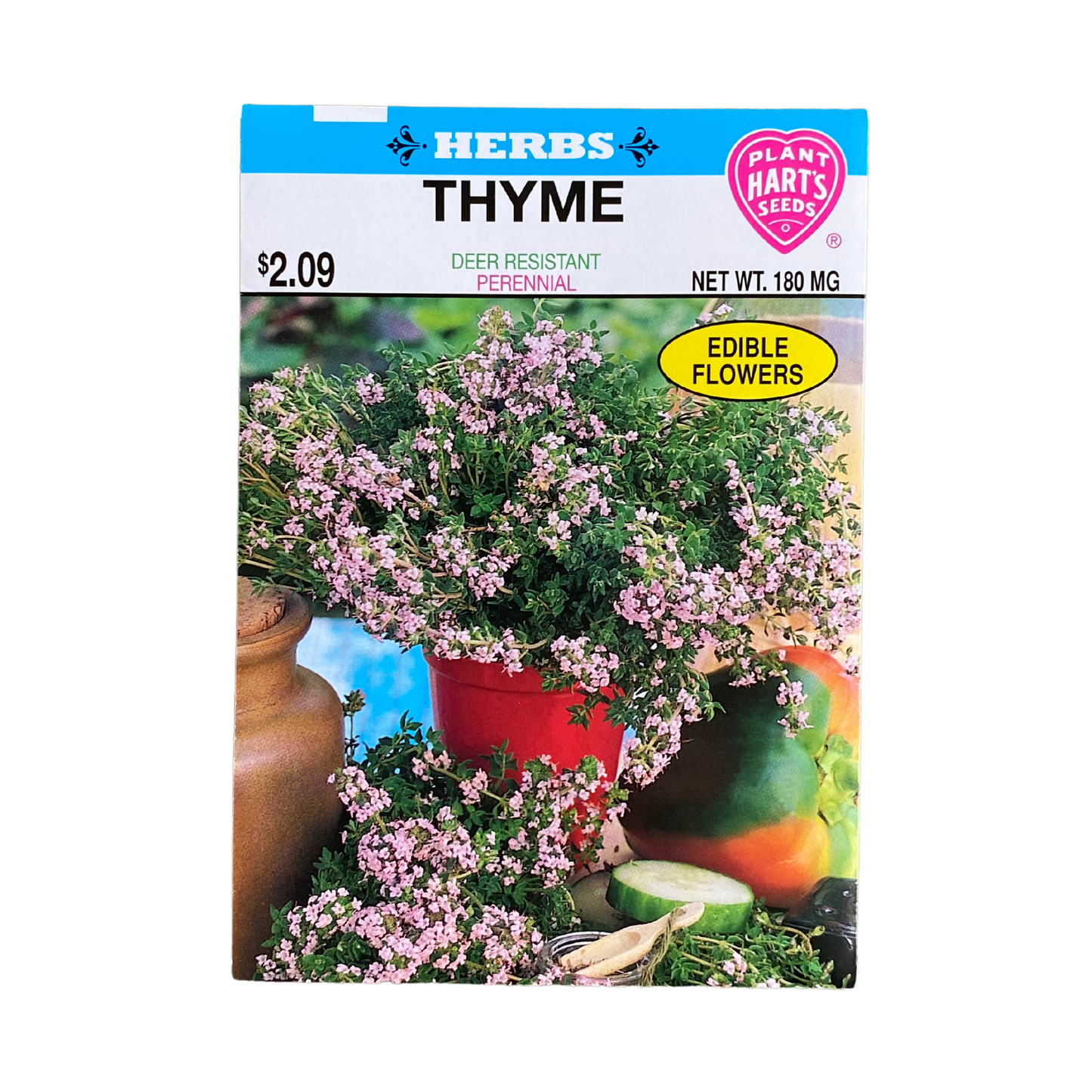 Herb Thyme
