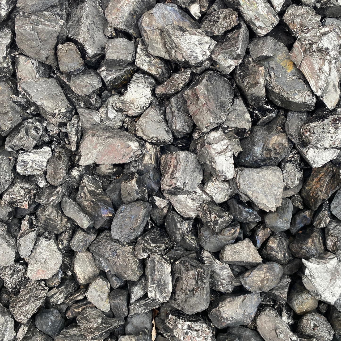 Black Chestnut Coal - 105