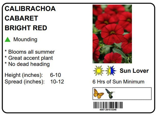CALIBRACHOA CABARET BRIGHT RED