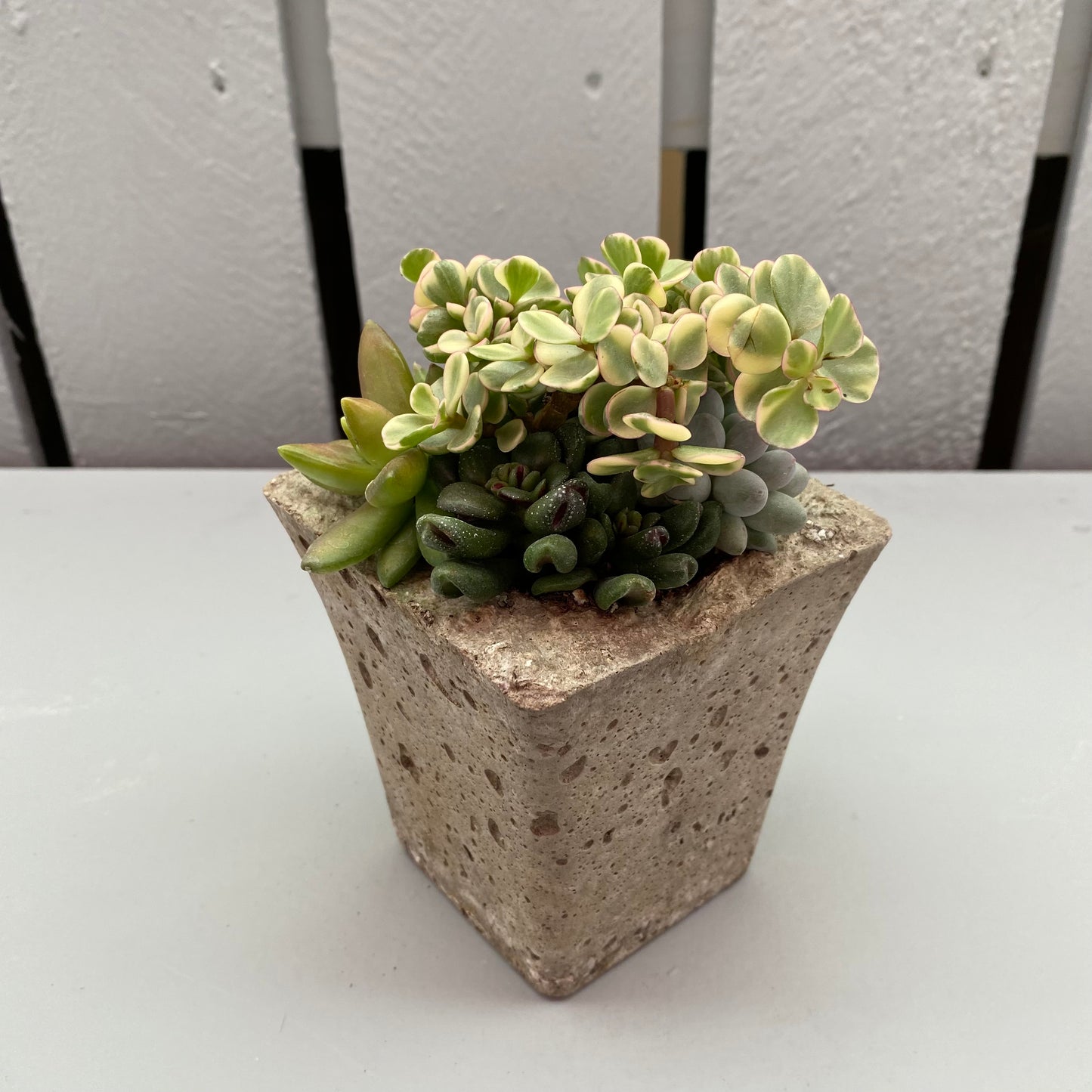 Small Square Vase