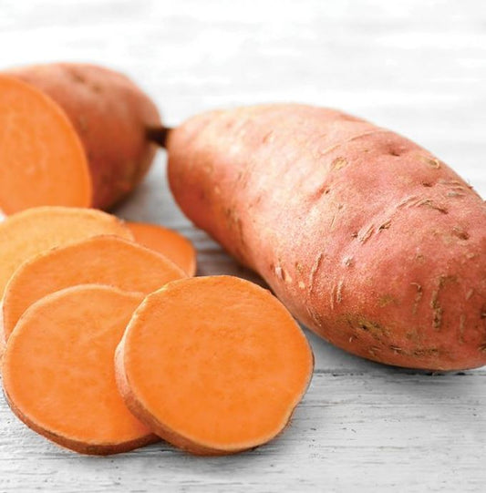 Sweet Potato Beaugard